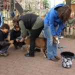 Tierprojekttag 21.09.2012